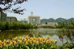 沙坪坝区文化地标托起沉庆“科教文卫核心”永